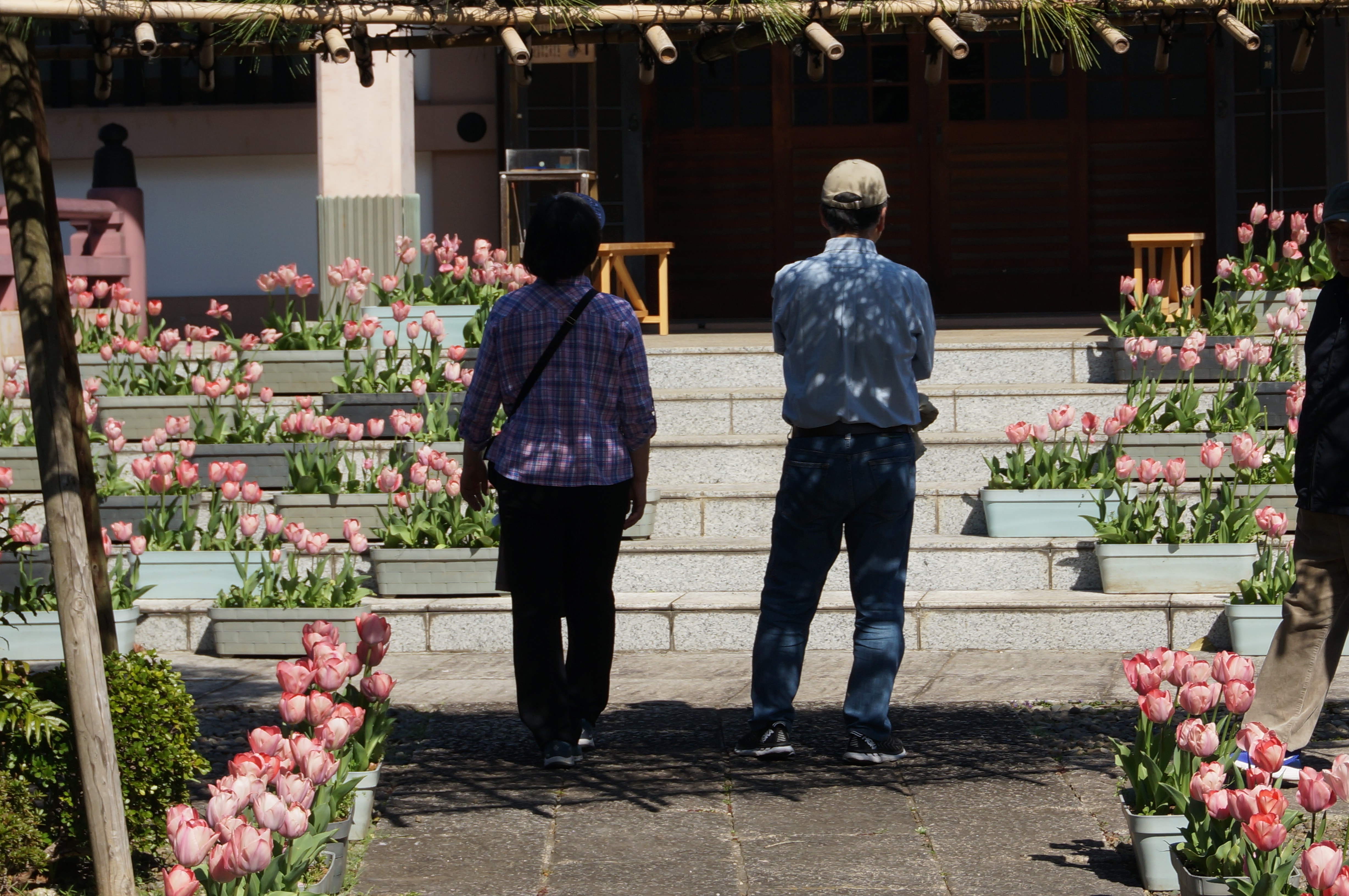 2020 Of Weekly Bukkyo Times Website Ver 2 3